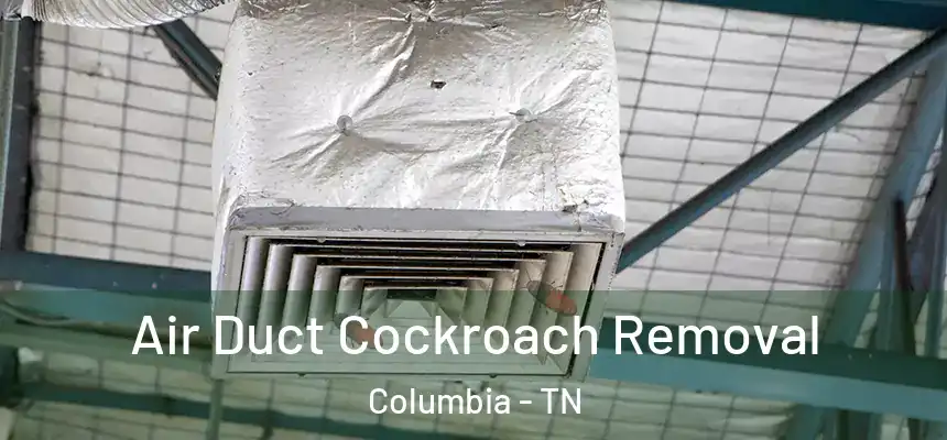 Air Duct Cockroach Removal Columbia - TN