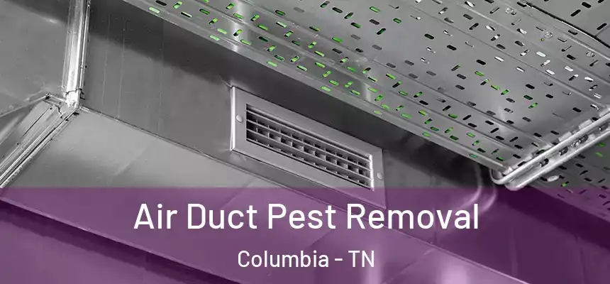 Air Duct Pest Removal Columbia - TN