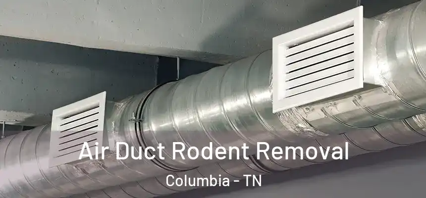 Air Duct Rodent Removal Columbia - TN
