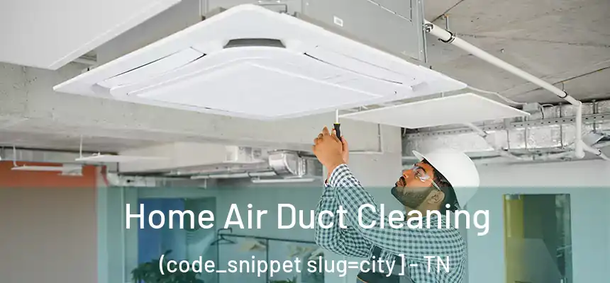  Home Air Duct Cleaning (code_snippet slug=city] - TN