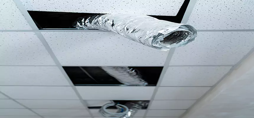 Our Air Duct Pet Hair Removal Services in Columbia, TN