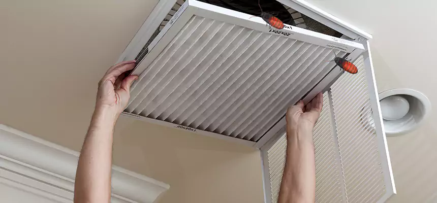 Our Insect Removal from Air Ducts Services in Columbia, TN
