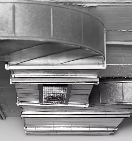 Professional Air Duct Pest Removal in Columbia, TN