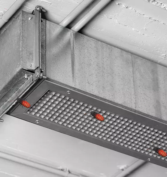 Affordable Insect Removal from Air Ducts in Columbia, TN